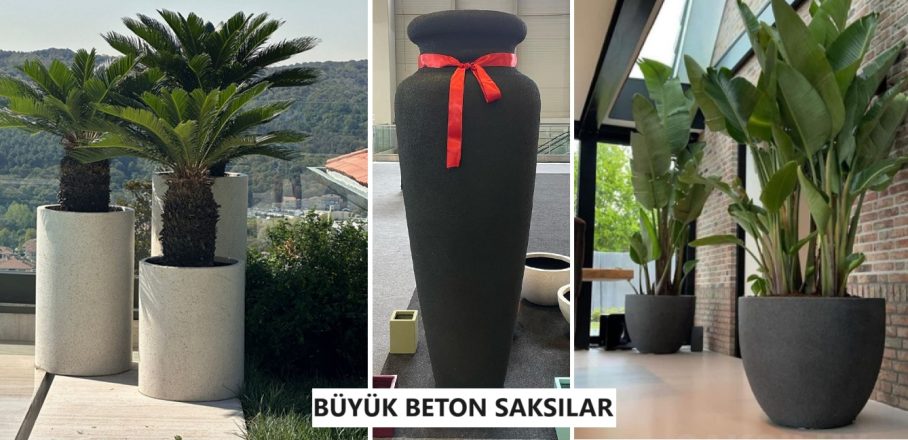 Büyük Beton Saksı