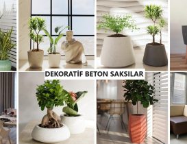 Dekoratif Beton Saksı