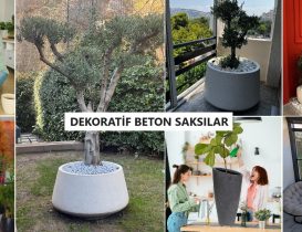 Dekoratif Beton Saksı