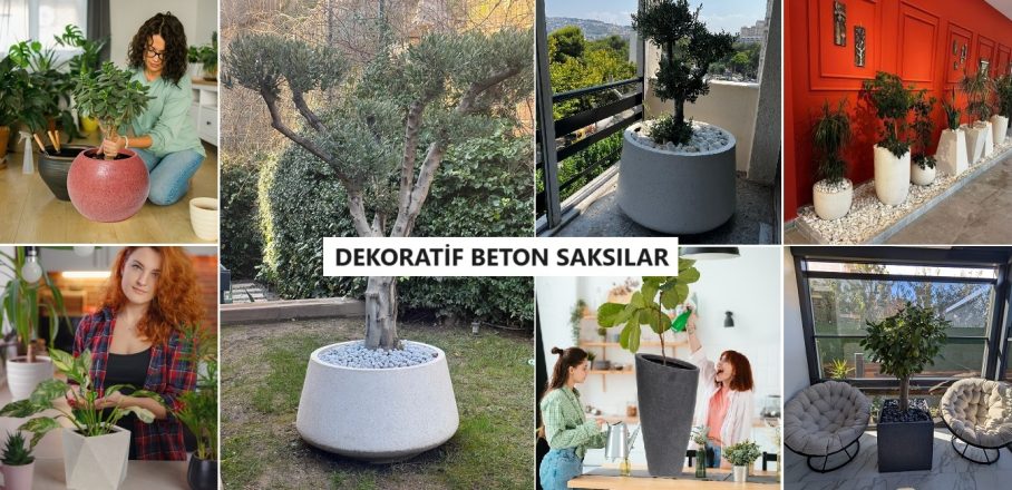 Dekoratif Beton Saksı