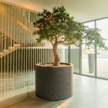 beton-silindir-saksi-80x80x80cm-1